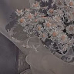 Meet your Posher, Sydney